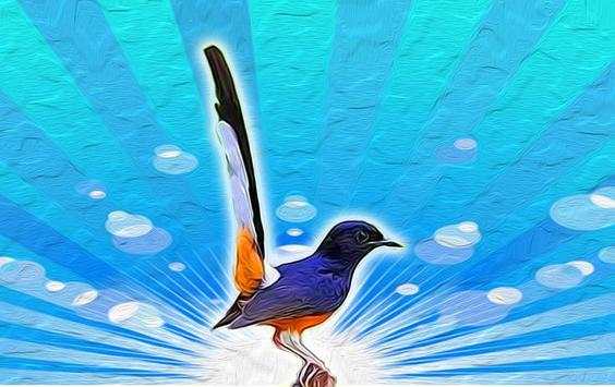 Bird Sounds Ringtone AZ screenshot 4