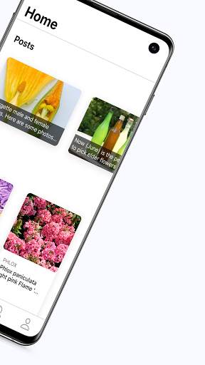 Right Plants screenshot 2