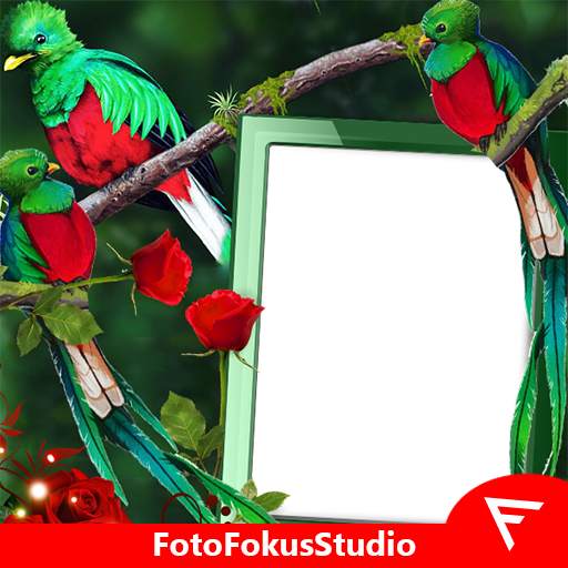 Quetzal Insta DP 3.0