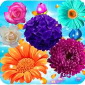 Blossom Mania Legend logo