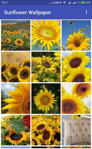 Sunflower Wallpaper screenshot 3