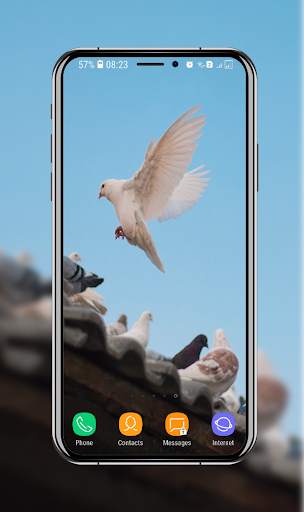New Pigeon Wallpaper screenshot 16
