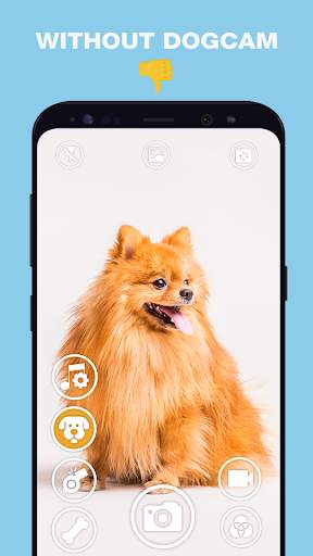 DogCam - Dog Selfie Filters and Camera screenshot 3