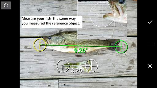 Fisherman's Mobile Weigh Station screenshot 5