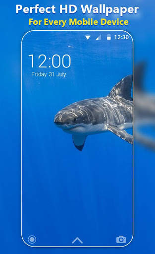 Shark Live Wallpaper screenshot 5