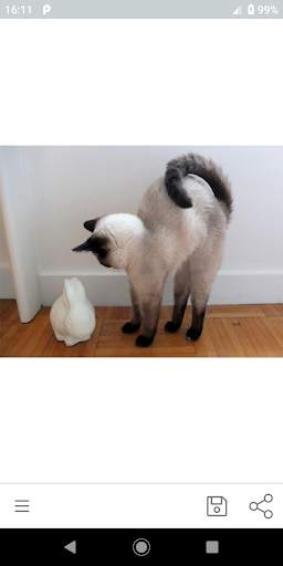 World Of Cats screenshot 5