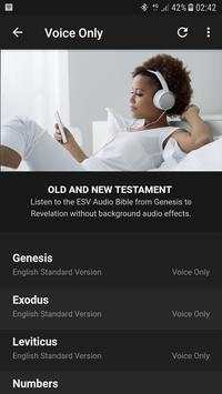English Audio Bible (ESV) screenshot 3