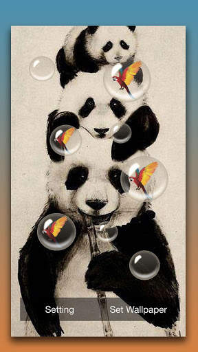 Panda Live Wallpaper screenshot 2