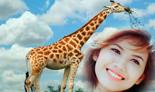 Animal Photo Frame screenshot 4