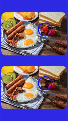 Spot The Differences Game screenshot 2
