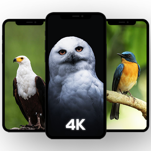 🦅 Birds Wallpaper HD आइकन