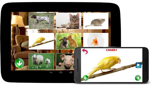 Animal Sounds screenshot 2