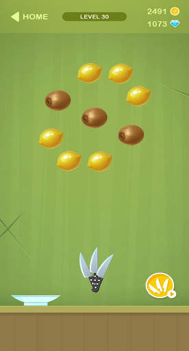 Fruit Cut Smash screenshot 1