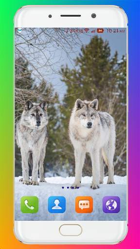 Wolf Wallpaper HD screenshot 8