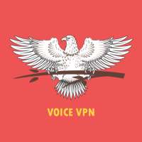 Voice VPN logo