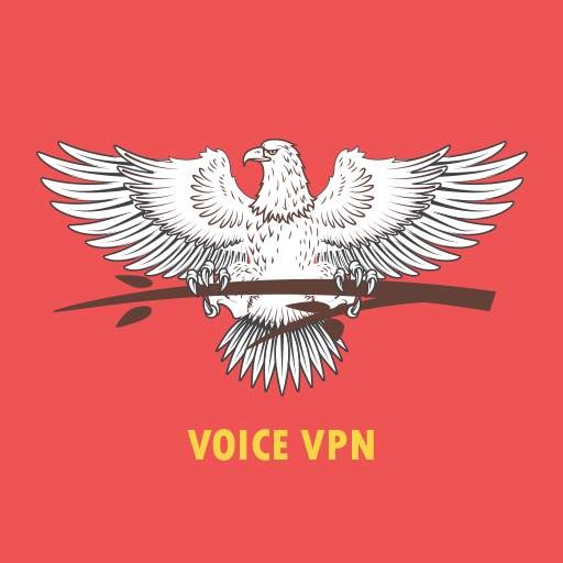Voice VPN 1.1