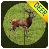 Sniper Deer Shooting - 3D 1.0