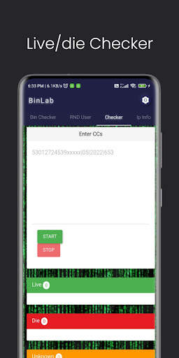 BinLab - Namso-Gen, CC checker screenshot 4