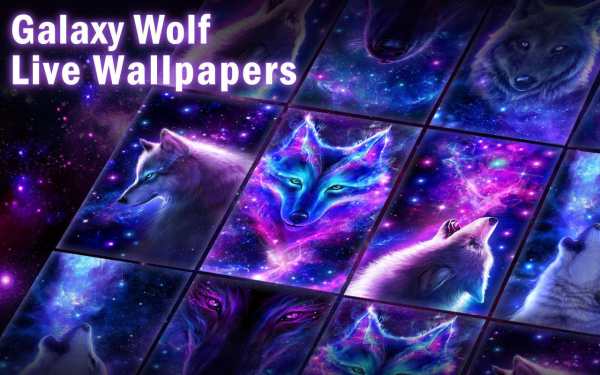 Galaxy Wolf Theme screenshot 5
