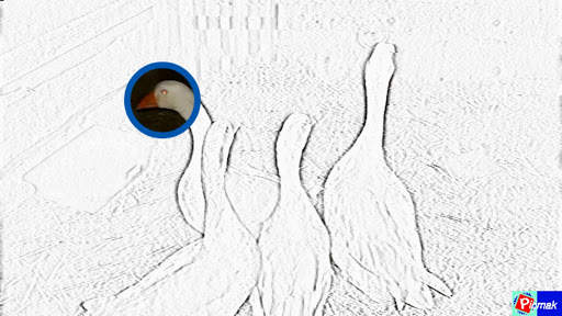 Picmak Photo screenshot 6