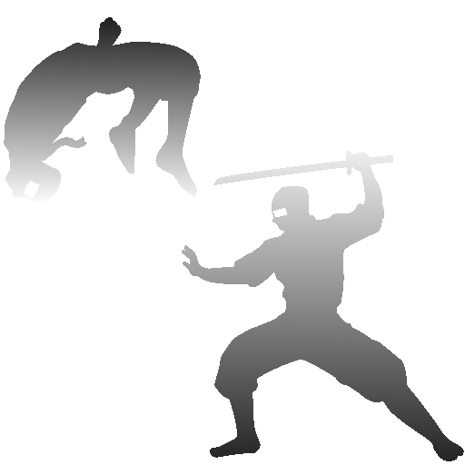 Memoria Ninja icon