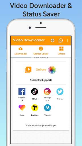 Social Video Downloader screenshot 2