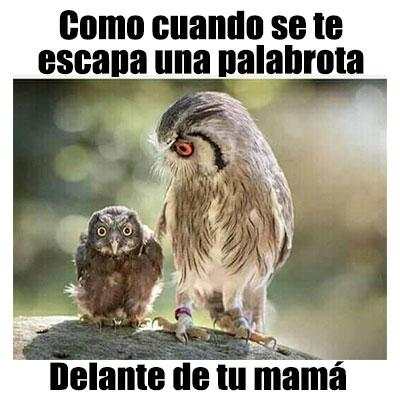 Imagenes chistosas screenshot 5