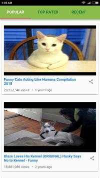 Funny Videos - HaHa screenshot 2