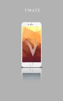 ViteMate Video Download screenshot 1
