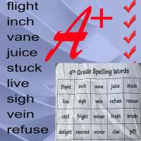 Spelling Bee Games & Tests