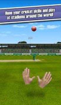 Best Cricket Games for android screenshot 3