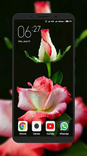 Rose Wallpaper screenshot 2