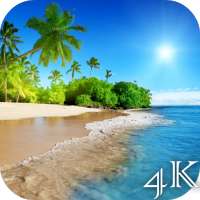 Beach 4K Live Wallpaper logo