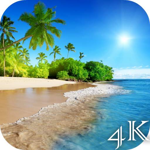 Beach 4K Live Wallpaper 2.0