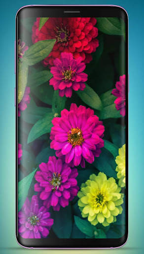 3D Flower Wallpaper HD screenshot 10