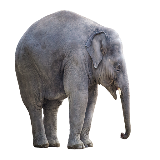 Elephant Sound icon