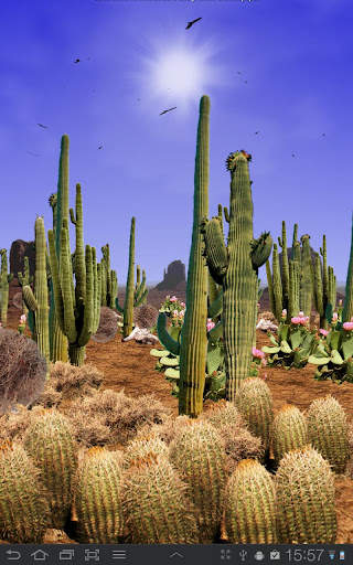 Desert Free Live Wallpaper screenshot 3