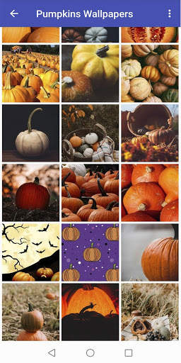 Pumpkin Wallpapers screenshot 3