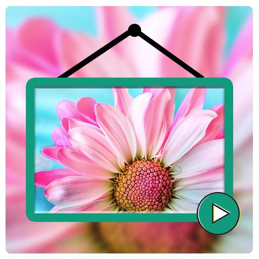 Video Live Wallpapers HD - VidWalls Pro 1.1