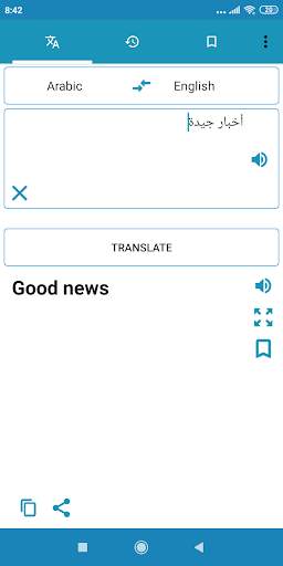 Arabic English Translator Dictionary screenshot 2