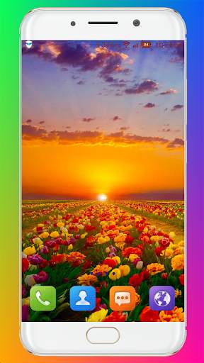 Nature Wallpaper HD screenshot 2