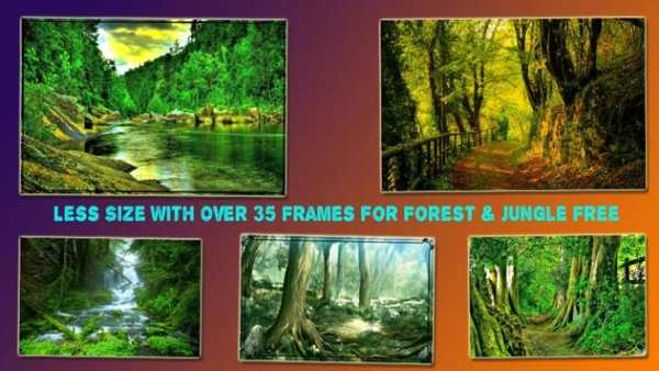 Jungle Frames For Photos screenshot 3