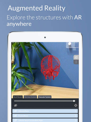 Head Atlas screenshot 11