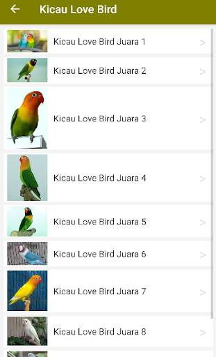 Suara Kicau Love Bird Juara Offline screenshot 2