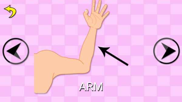Learn body parts (Free) 1 تصوير الشاشة