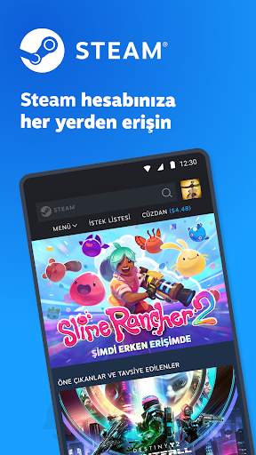 Steam screenshot 1