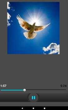 Litanies du Saint-Esprit Français Audio screenshot 2