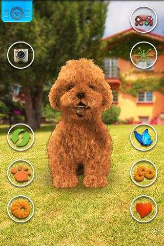 Talking Teddy Dog screenshot 1