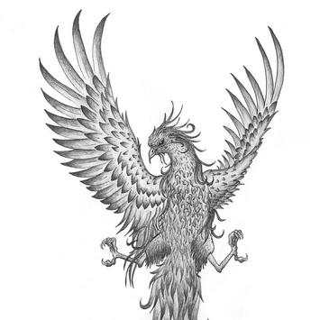 BIRD TATTOO Wallpapers v1 screenshot 3