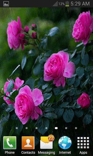 Rainy Pink Flowers LWP screenshot 2
